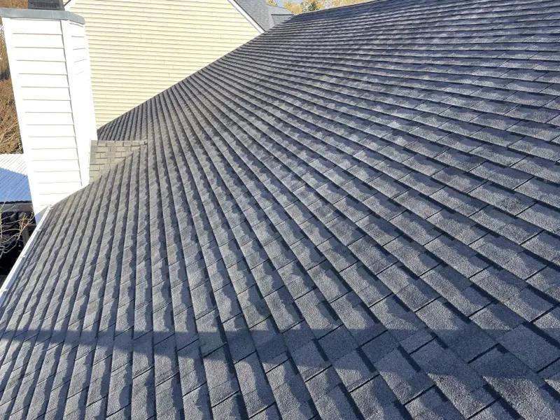 Early shingle failure - Artisan Quality Roofing Early shingle failure