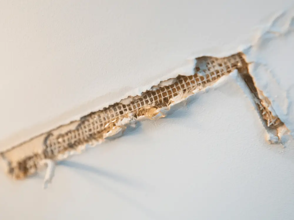 Leaks Are Clues Not Flukes – the Truth Behind Roof Leaks