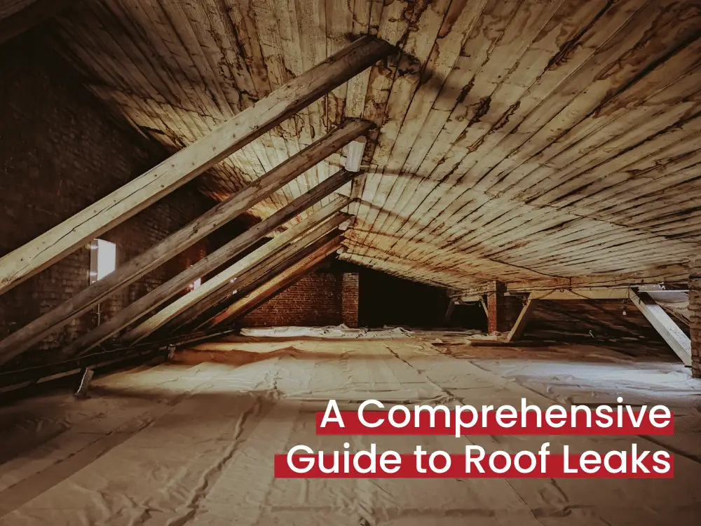Why Is My Roof Leaking? A Comprehensive Guide to Roof Leaks