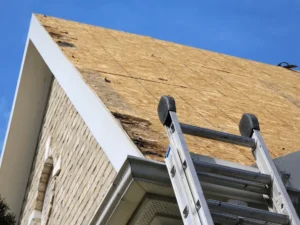 Damaged roof sheathing found on roof edge