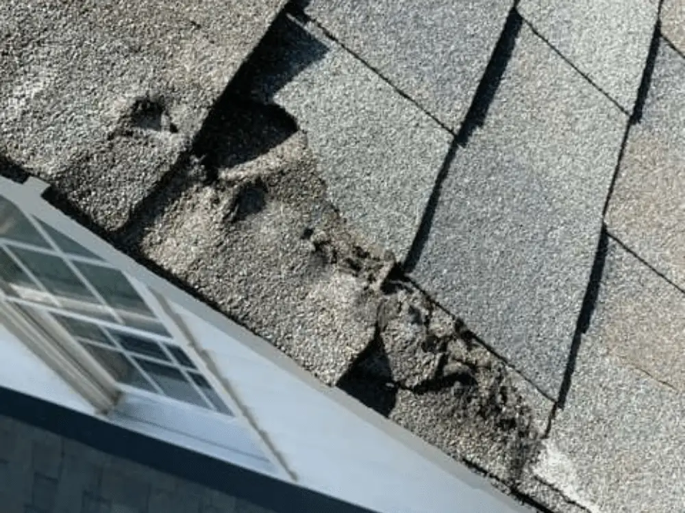 Roof with tree damaged shingles - Artisan Quality Roofing Roof with tree damaged shingles