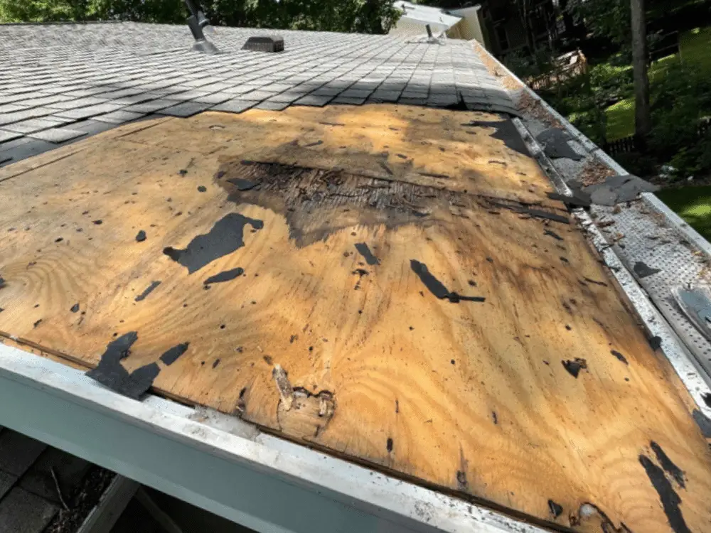 Sheathing wood rot near roof edge