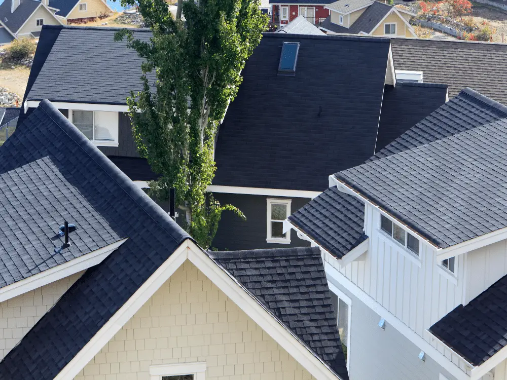 Neighborhood with recent roof replacements - Artisan Quality Roofing Neighborhood with recent roof replacements