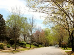 Holly Springs Neighborhood in Spring time