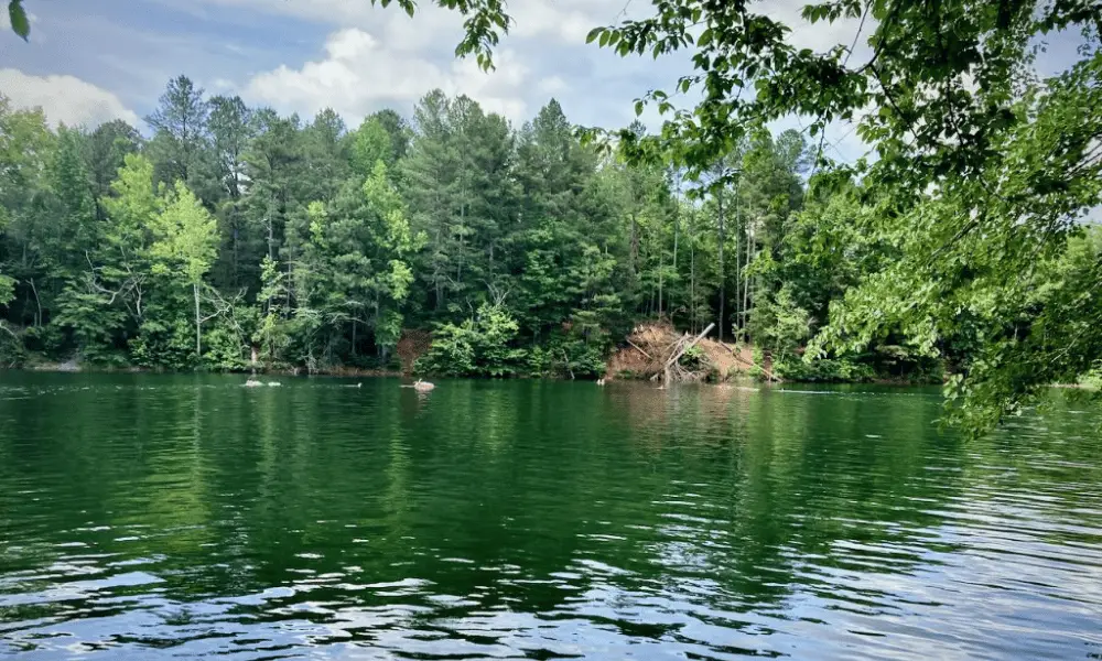 Eno Rock Quarry Durham