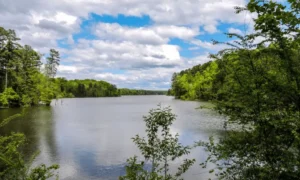 Falls Lake State Recreation Area