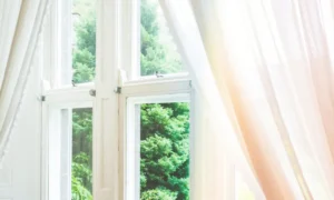 Window and curtains in sunlight