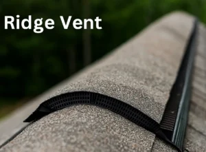 RIdge Vent