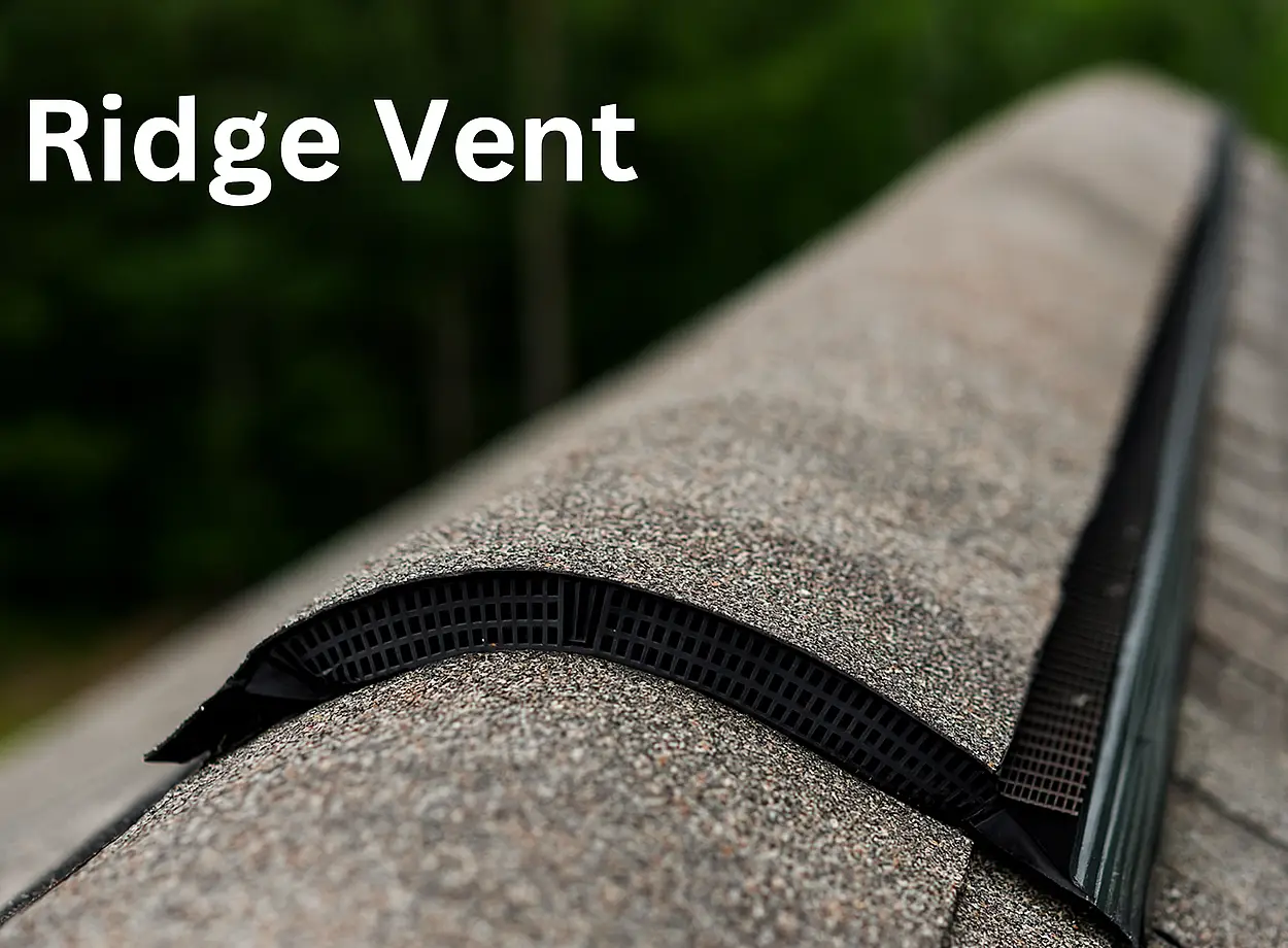 RIdge Vent