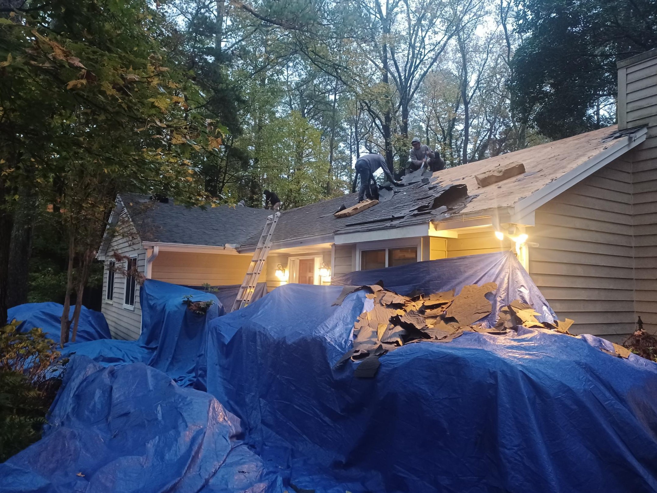 Roofing Crew protecting the landscape during roof installation day in Cary NC
